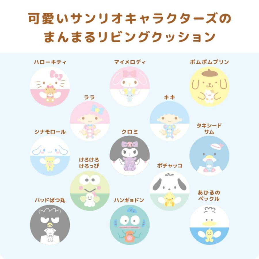 宮武製作所 サンリオキャラクターズ クッション カバーが洗える 低反発