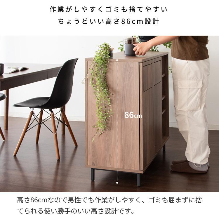 ダブルダストボックス ブラウン カウンター ダストボックス ゴミ箱 収納 キッチンカウンター DB