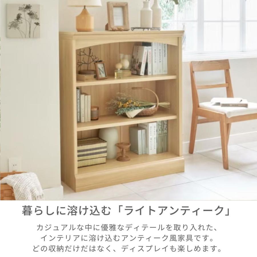 白井産業 棚 ラック ディスプレイ 本棚 ルミデ LMD-1085 ロータイプ 3