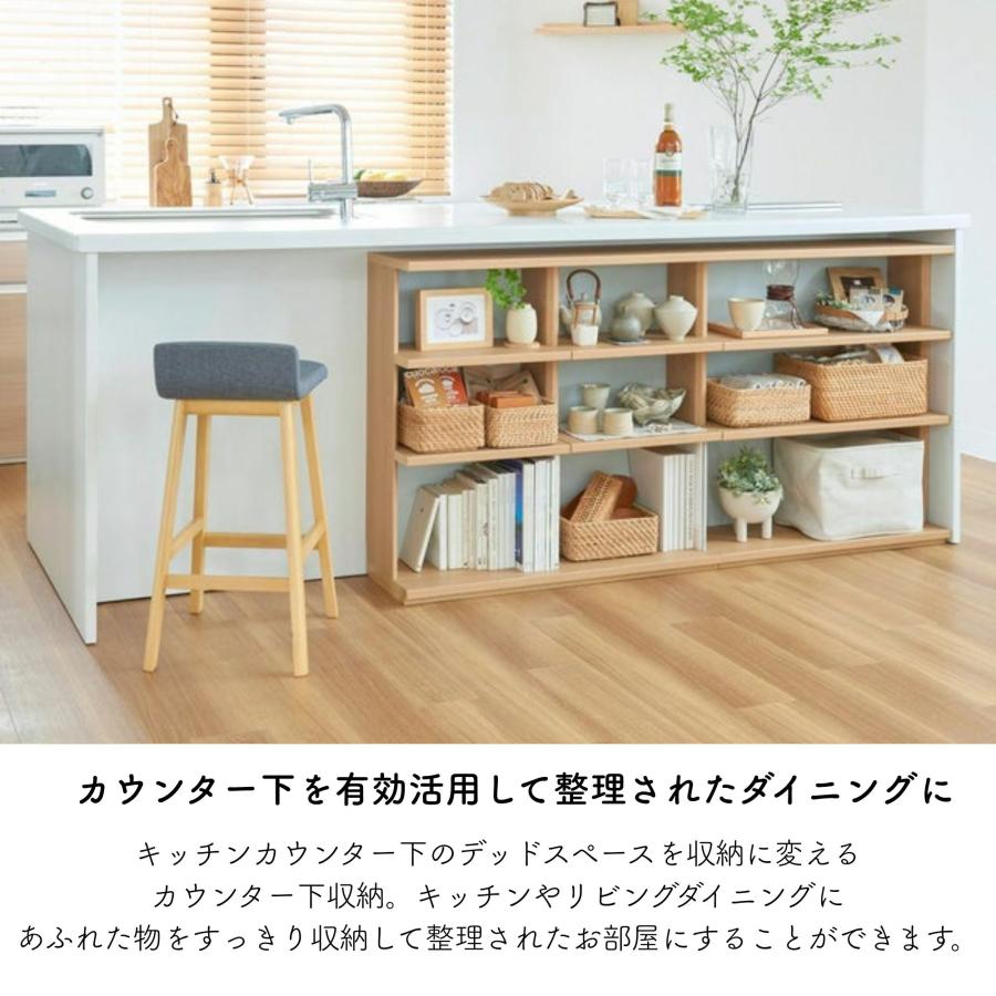 白井産業 カウンター下収納 オープンラック 棚 ピタシエ PTS-8575R