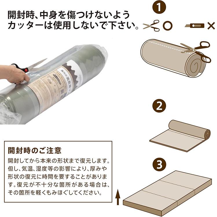 西川 寝心地にこだわったごろ寝マット 三つ折り 折りたたみ 西川 寝心地にこだわったごろ寝マット 三つ折り 折りたたみ
