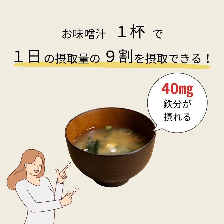FUJITA KINZOKU 鉄分補給できる 鉄鍋 藤田金属 今日を元気にするお