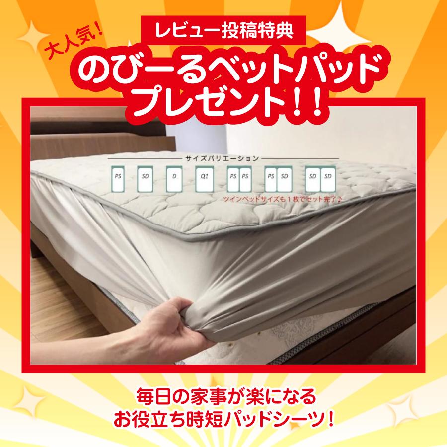Serta（サータ） 開梱設置付 口コミ特典 アリウム 2231 フラットタイプ