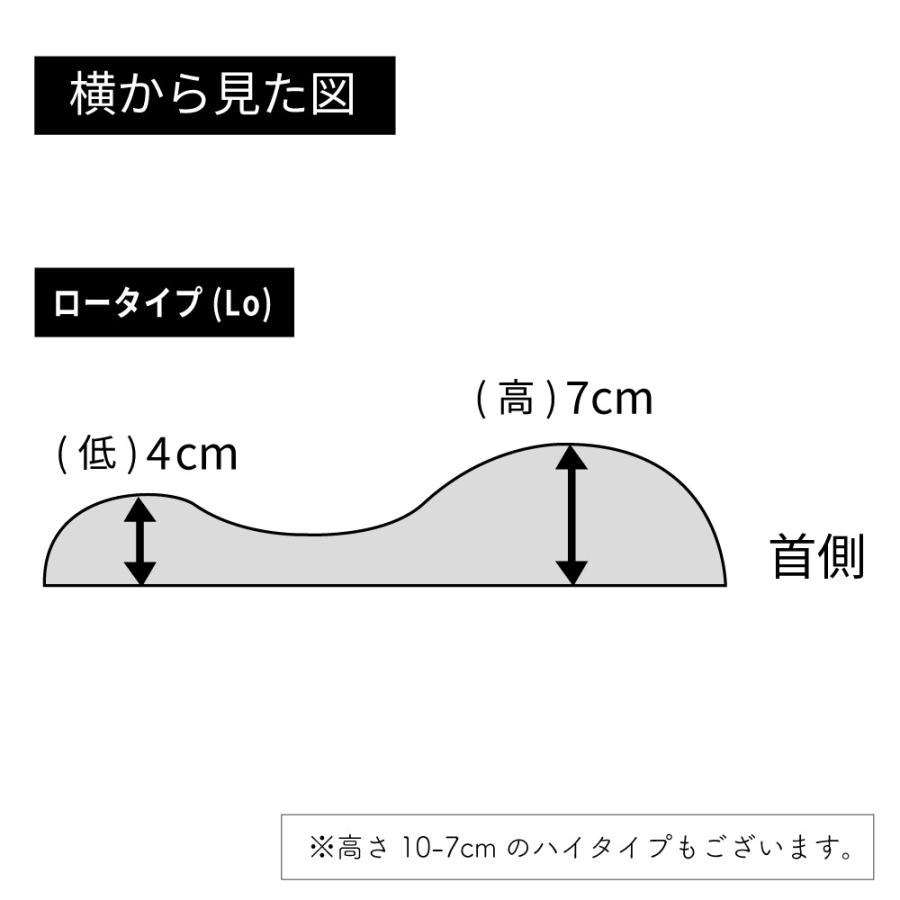 Serta（サータ） トラディションピロー P-1004 幅61cm ロータイプ 枕