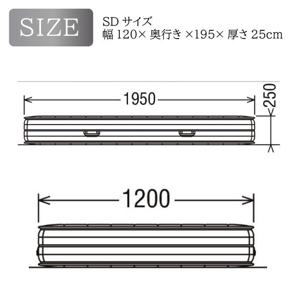 【開梱設置付】 カリモク家具 NN81M4CO THINK SLEEP POINT マットレス SD シンクスリープポイント ポケットコイル karimoku 正規品 セミダブル 国産 日本製