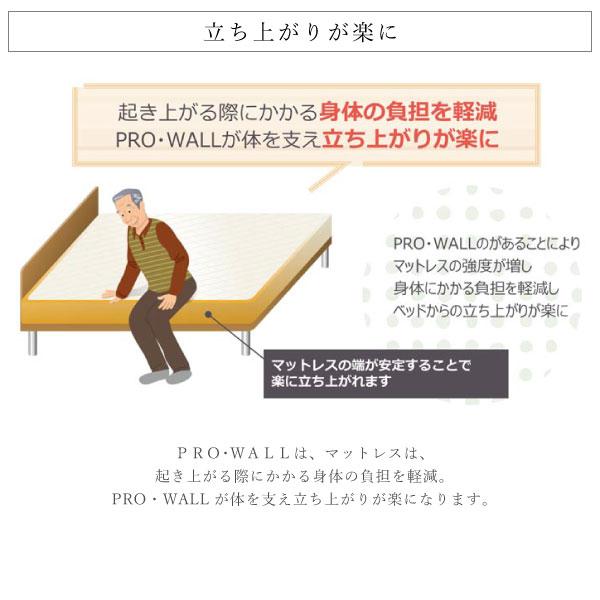 フランスベッド（FRANCEBED） 開梱設置付き LT-5500 α PW ダブル