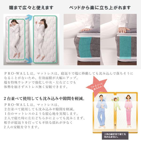 フランスベッド（FRANCEBED） 開梱設置付き LT-5500 α PW ダブル 