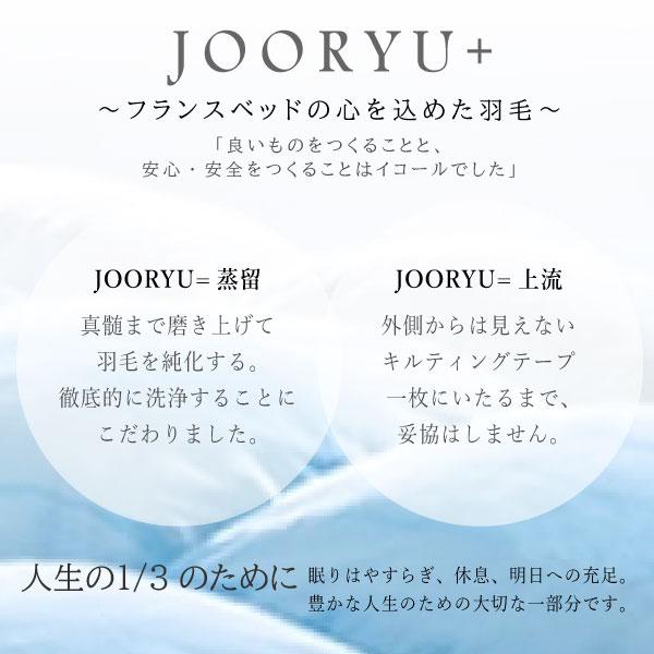 JOORYU フランスベッド France Bed 羽毛布団 LT JP-04 PLUS ダブル 高