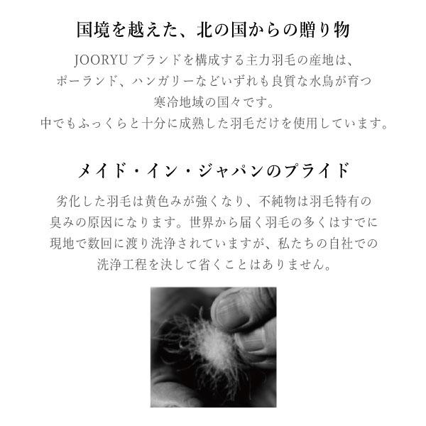 JOORYU フランスベッド France Bed 羽毛布団 LT JP-06 PLUS シングル