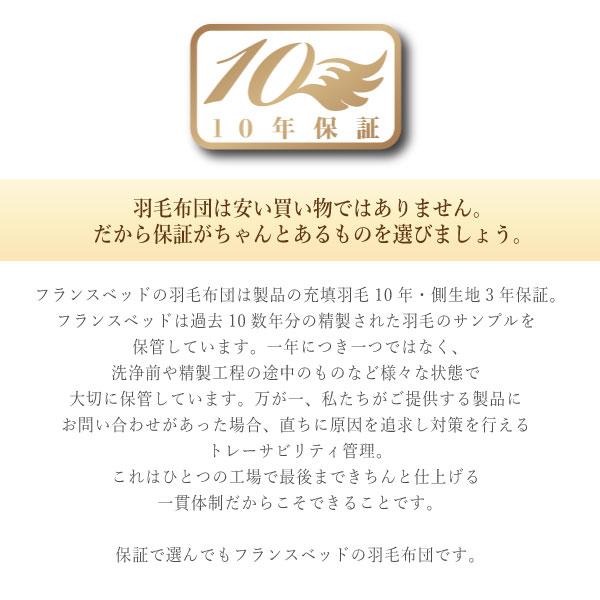 フランスベッド France Bed 羽毛布団 LT JP-07 JOORYU PLUS ダブル 高衛生 羽毛ふとん オールシーズン プレミアムグースダウンの画像