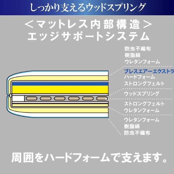 フランスベッド 開梱設置付 RP-2000BAE 電動リクライニング