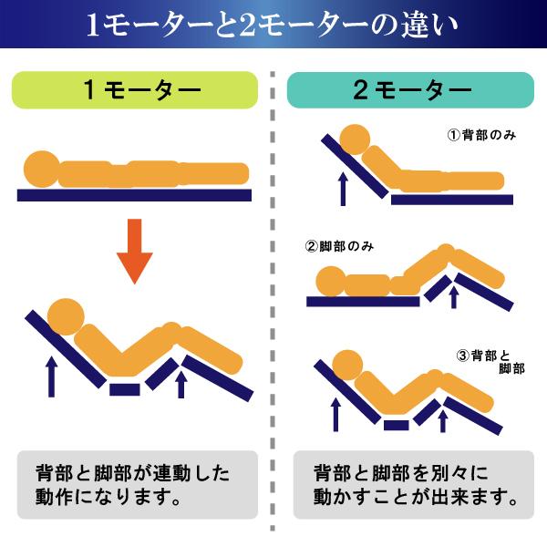 フランスベッド 開梱設置付 正規品 RP-2000BAE 電動リクライニング