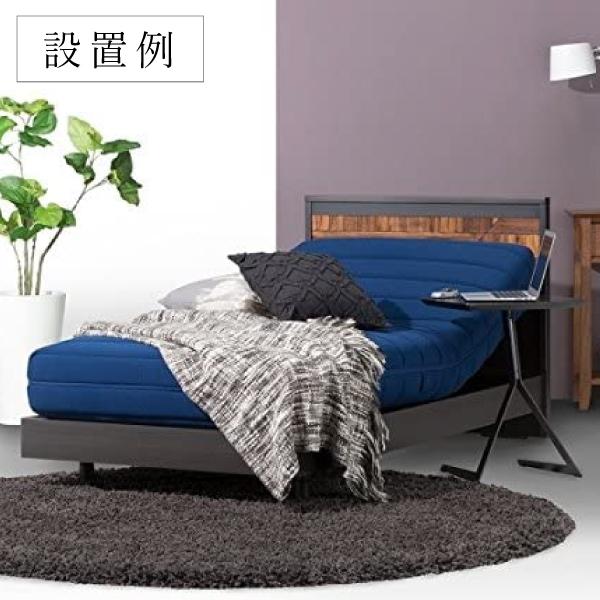 フランスベッドのリクライニング機構内蔵マットレス　RP-2000BAE フランスベッド 電動リクライニング マットレス RP-2000 BAE