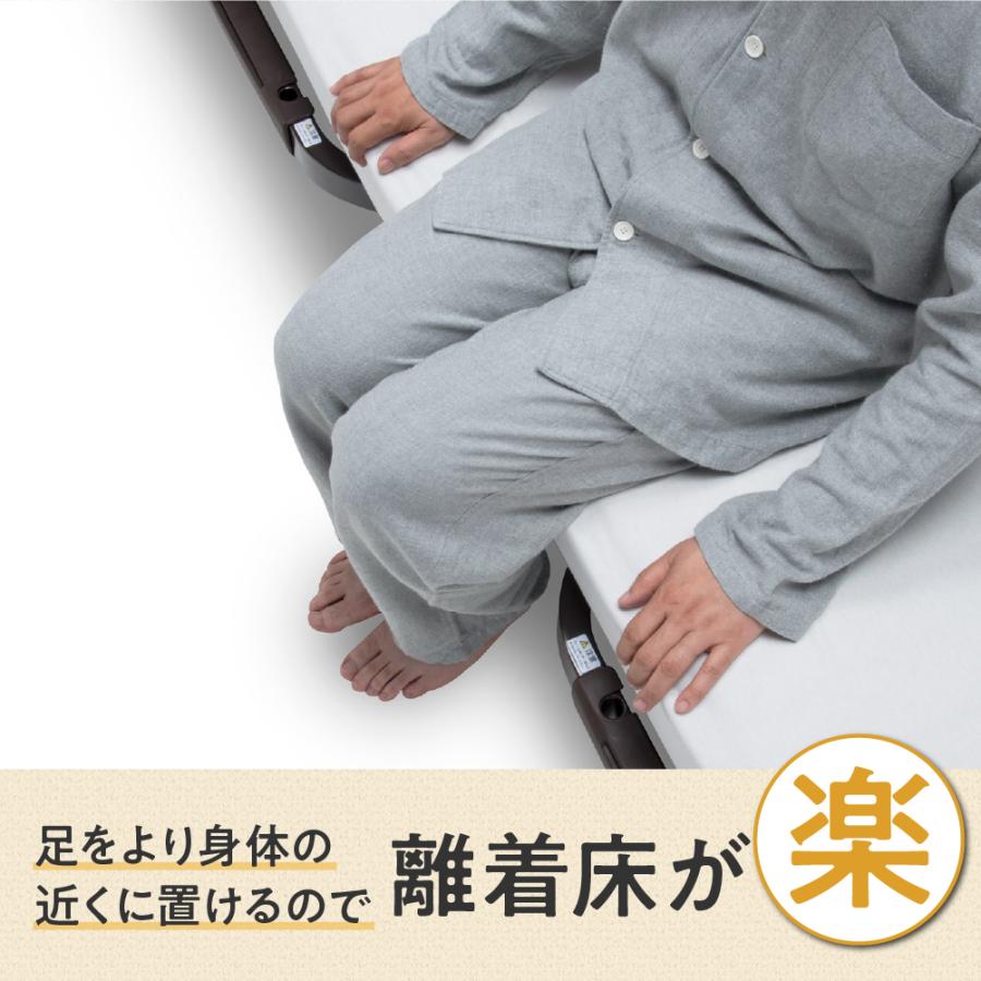 フランスベッド レステックス 01FN 02FN 電動ベッド 介護ベッド 3