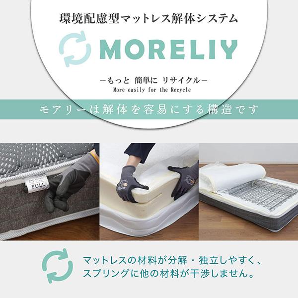 フランスベッド（FRANCEBED） マットレス TW-106AgPWα-MON 正規品
