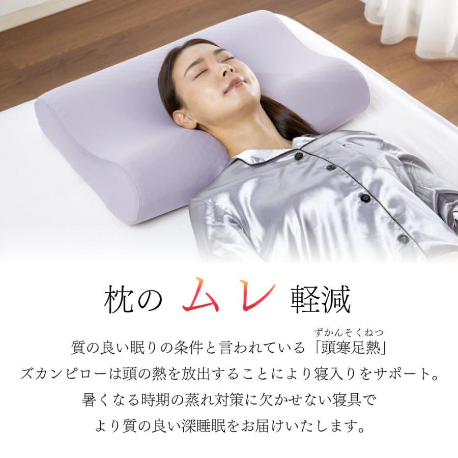 フランスベッド（FRANCEBED） ズカンピロー ZUKAN PILLOW 枕 蒸れない
