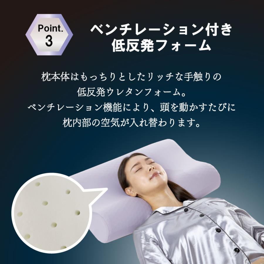 フランスベッド（FRANCEBED） ズカンピロー 枕 ZUKAN PILLOW 蒸れない