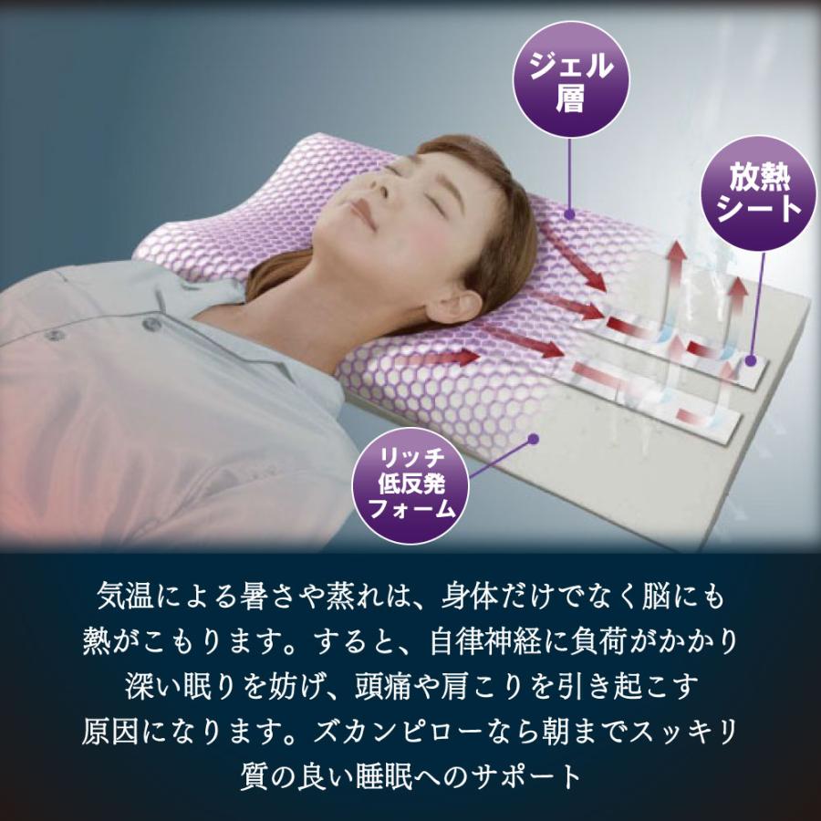 フランスベッド（FRANCEBED） ズカンピロー 枕 ZUKAN PILLOW 蒸れない