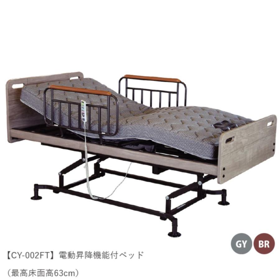 3モーター 介護ベッ ド 電動リクライニングベッド フラット 家庭用 シングル マット レス セット 手すり付 介護用 CY-002 FT GU-5000 【プレゼント】 アンネルベッド
