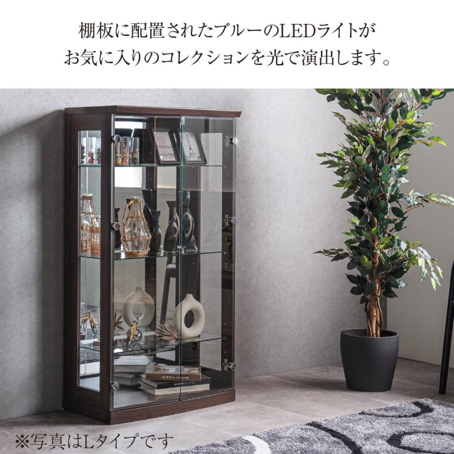 コレクションボード コレクションボード 日本製 大型 led 天然木 コレクションケース