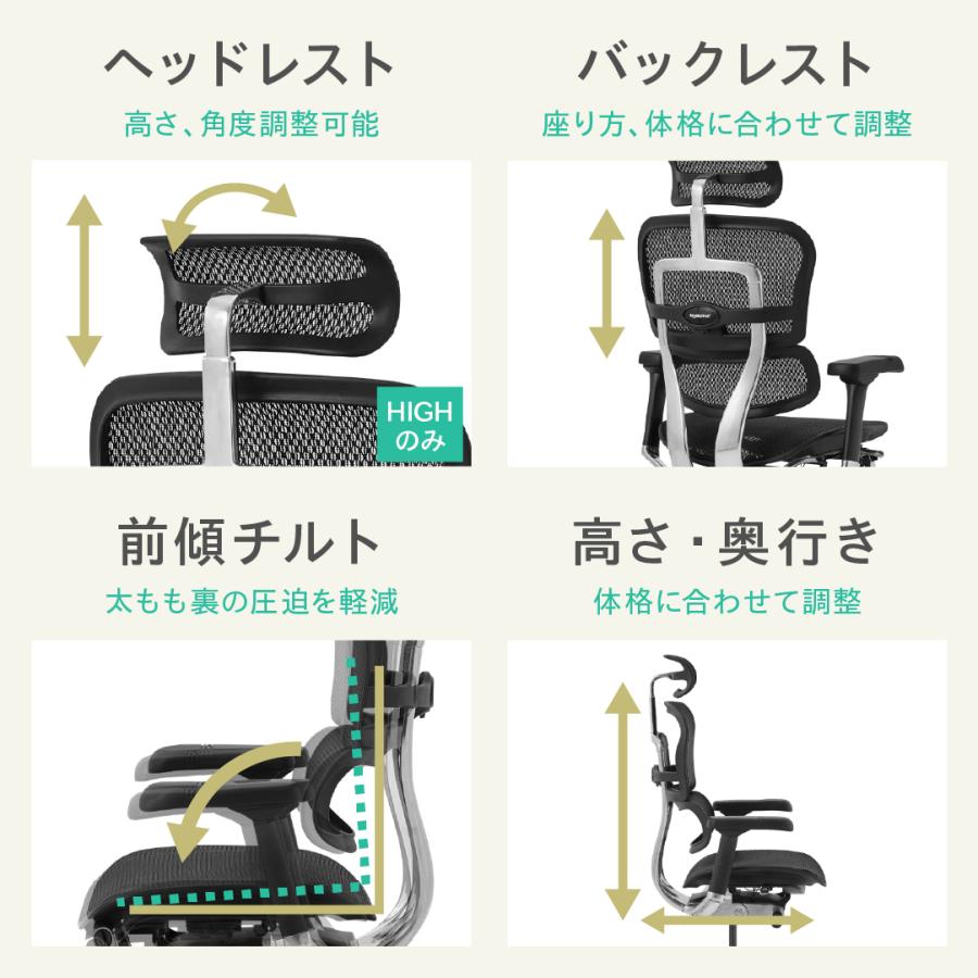 エルゴヒューマン（Ergohuman） 豪華W特典【5Dアーム搭載モデル