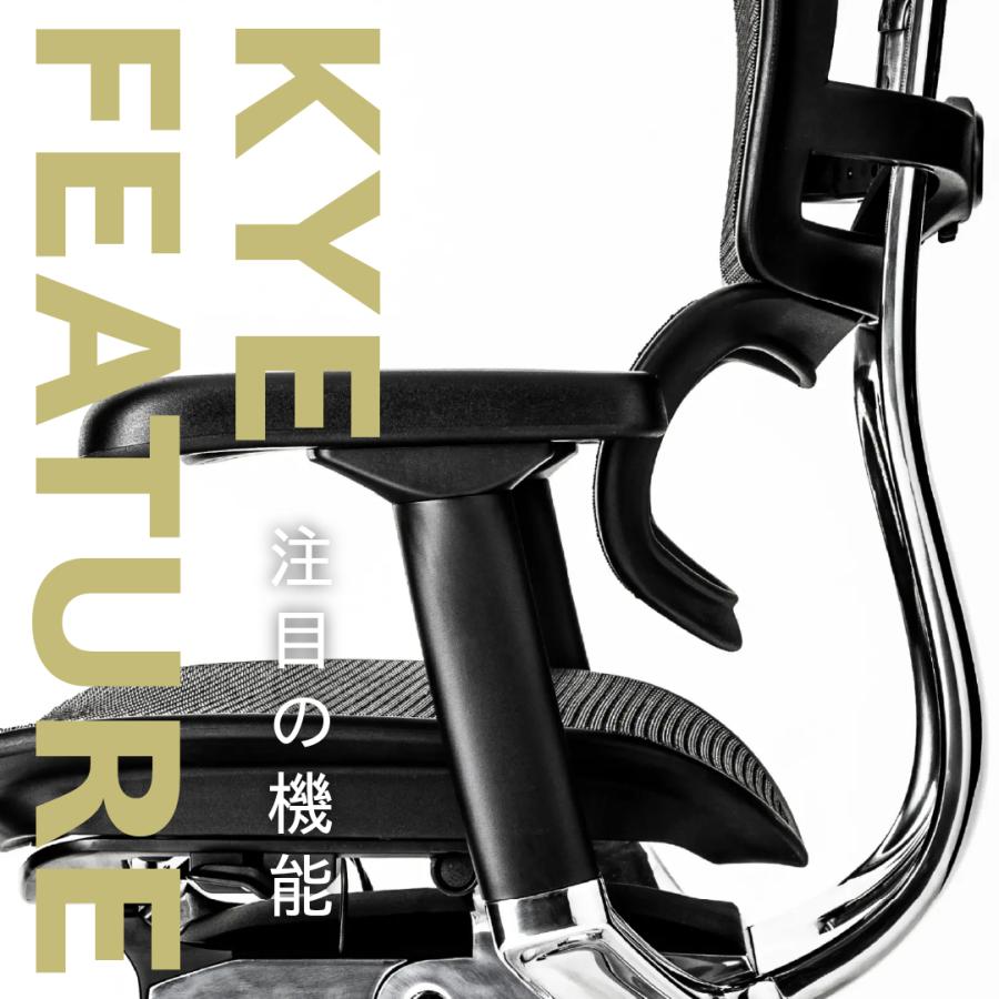 エルゴヒューマン（Ergohuman） 豪華W特典【5Dアーム搭載モデル