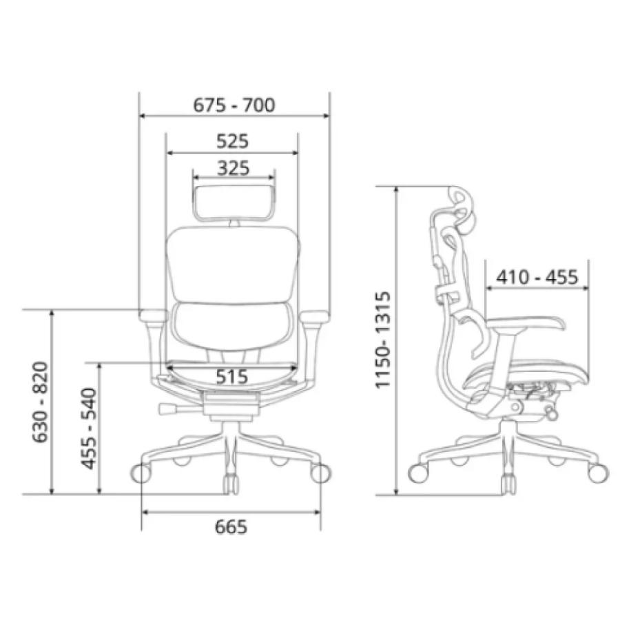 Ergohuman pro エルゴヒューマンプロ 説明書あり ベッドレスト付き エルゴヒューマン 特典付き！【新基盤搭載モデル】エルゴ