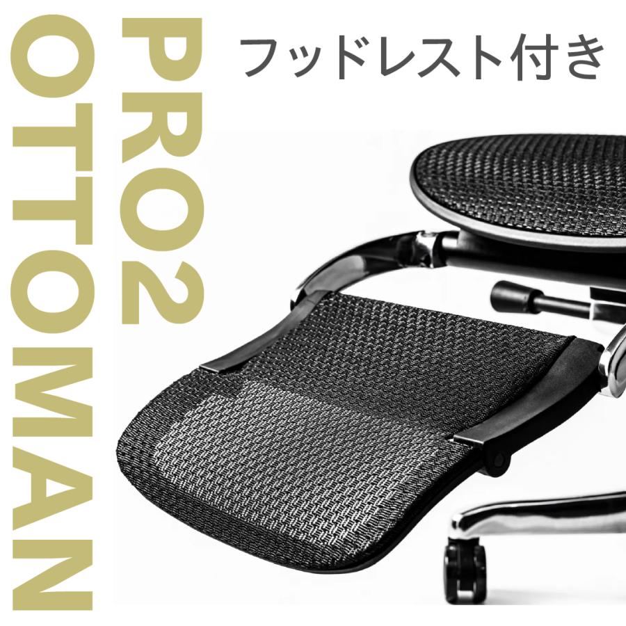 エルゴヒューマン（Ergohuman） 豪華W特典 【5Dアーム搭載モデル