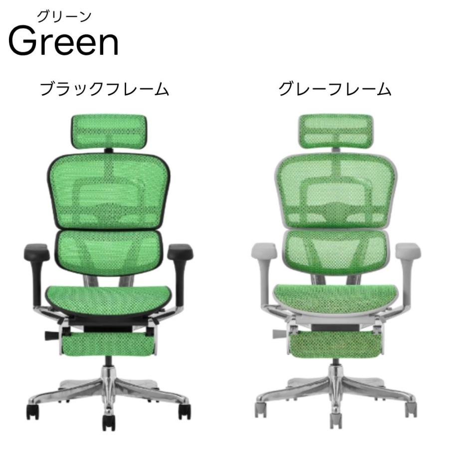 エルゴヒューマン（Ergohuman） 豪華W特典 【5Dアーム搭載モデル