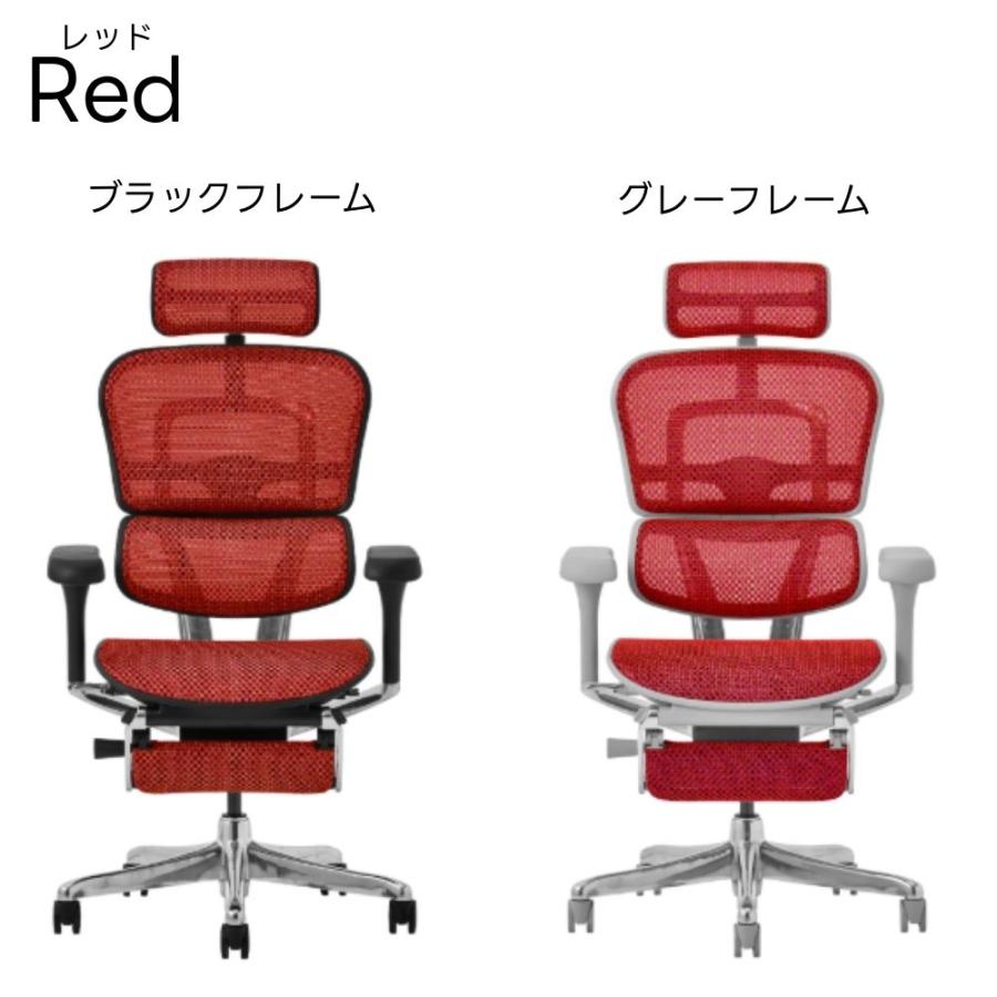 エルゴヒューマン（Ergohuman） 豪華W特典 【5Dアーム搭載モデル