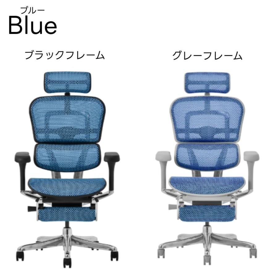 エルゴヒューマン プロ オットマン内蔵型 タブレットスタンド付き ブルー エルゴヒューマン（Ergohuman） 豪華W特典 【5Dアーム搭載モデル