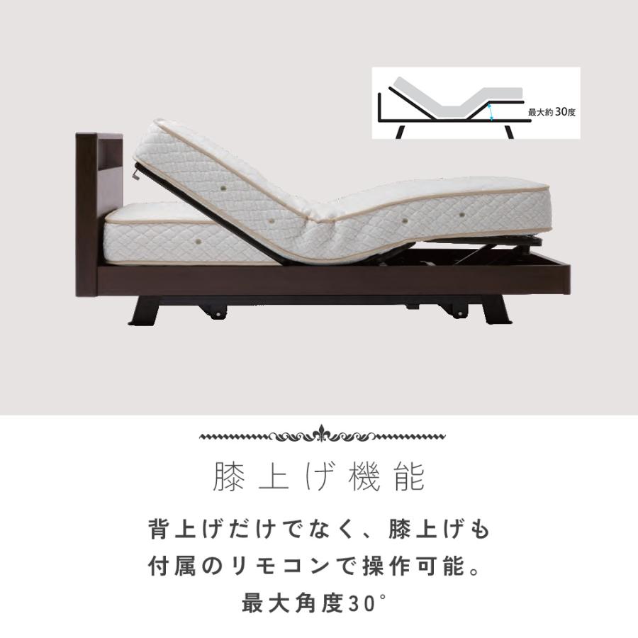 日本ベッド 【開梱設置付】電動ベッド 介護ベッド 介助