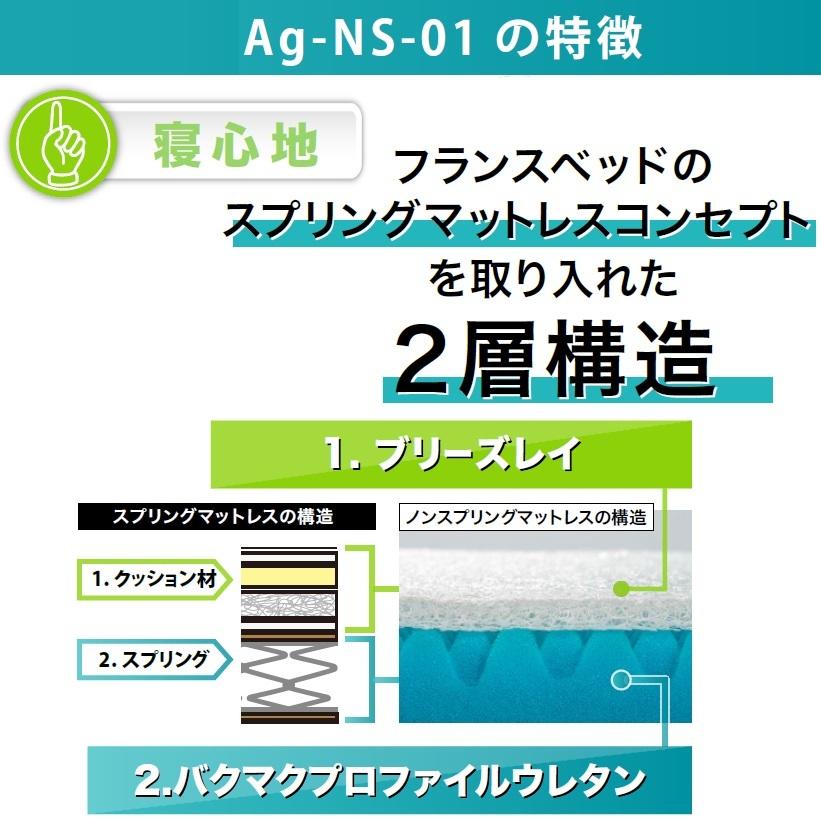 フランスベッド ノンスプリングマットレス Ag-NS-01 敷き布団 除菌
