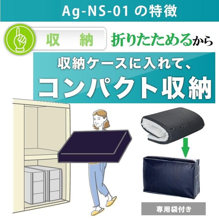 フランスベッド ノンスプリングマットレス Ag-NS-01 敷き布団 除菌