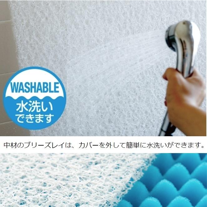 フランスベッド ノンスプリングマットレス Ag-NS-01 敷き布団 除菌