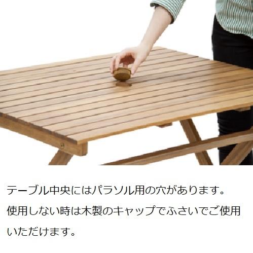 フォールディングテーブル 東谷 NX-802 折りたたみテーブル ガーデン