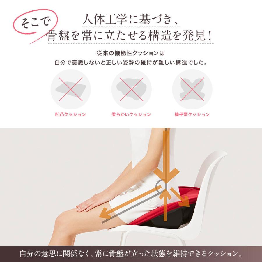 芦屋美整体 骨盤スリムスタイルクッション コニー 骨盤 芦屋美整体 骨盤スリムスタイルクッション コニー 骨盤