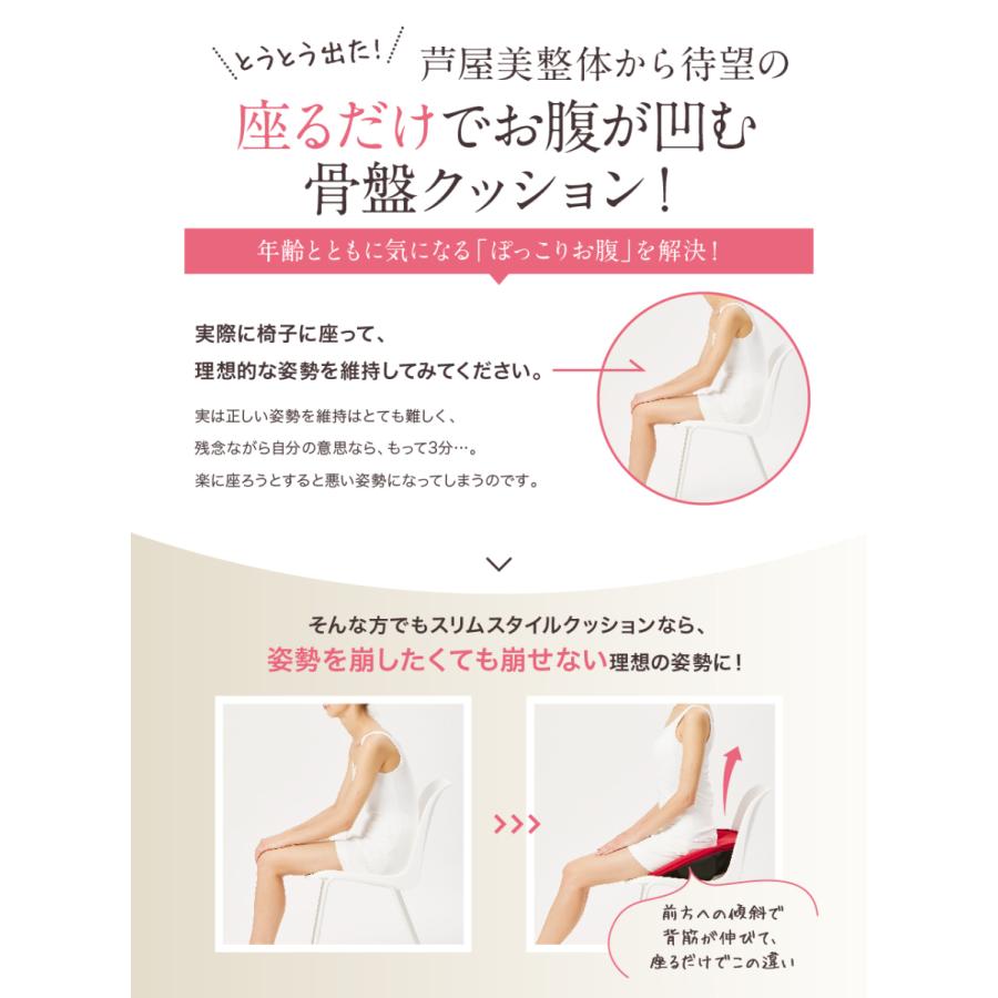 芦屋姿勢矯正クッション ブラウン 芦屋美整体 骨盤スリムスタイルクッション コニー 骨盤