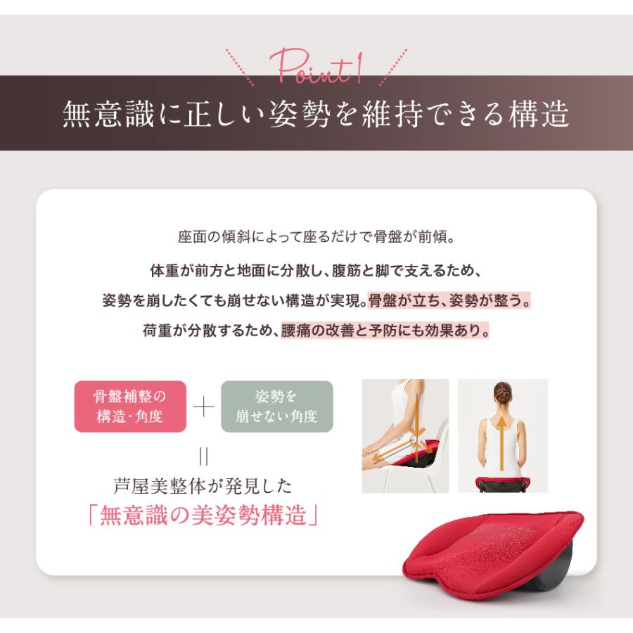 芦屋美整体 骨盤スリムスタイルクッション コニー 骨盤 芦屋美整体 骨盤スリムスタイルクッション コニー 骨盤