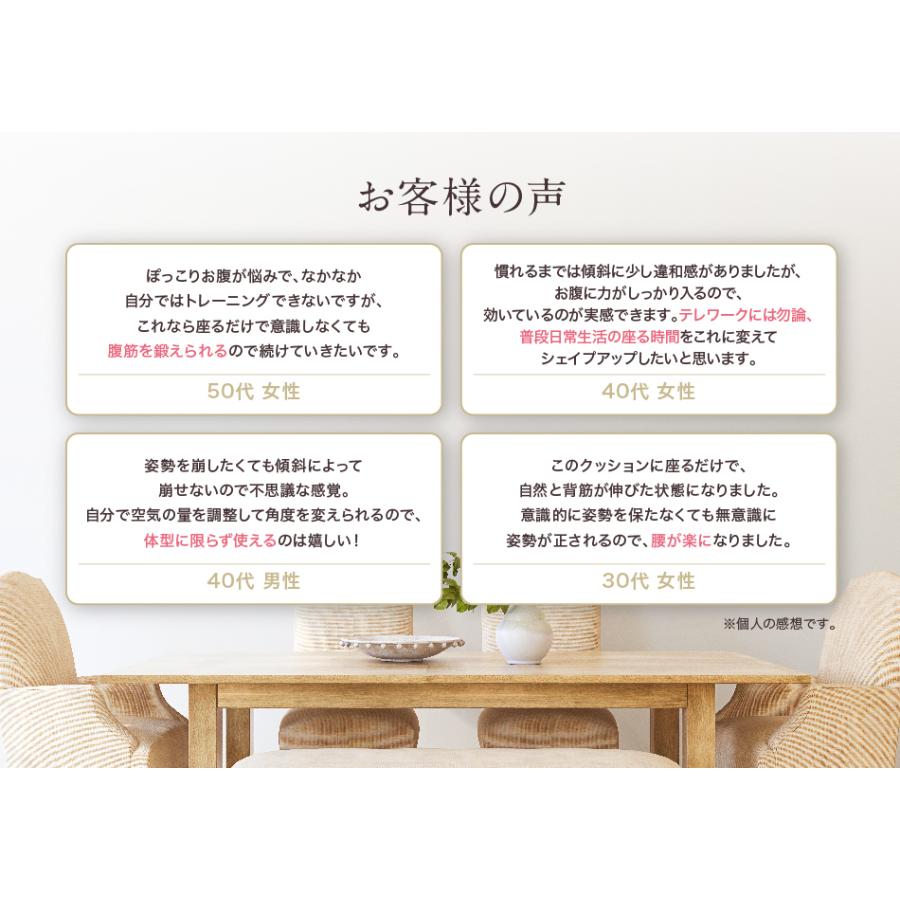 芦屋美整体 骨盤スリムスタイルクッション コニー 骨盤