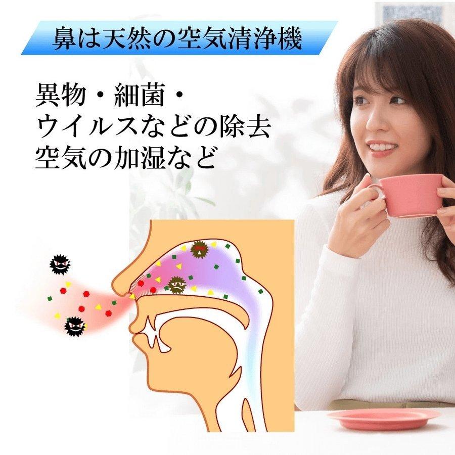 ノッピー NOPPY ミスト式鼻洗浄 鼻うがい 器具 人気 花粉症対策