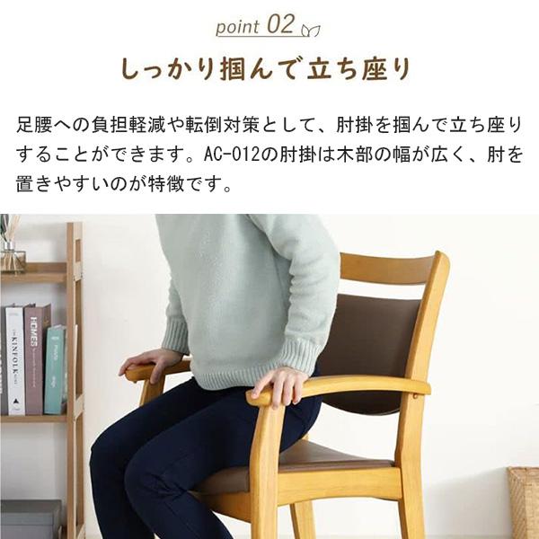 貞苅椅子製作所 ダイニングチェア 介護椅子 肘付き Care-AC-012 care