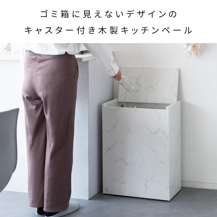 ダストボックス DB-650R ゴミ箱 ごみ箱 キャスター付 リビング