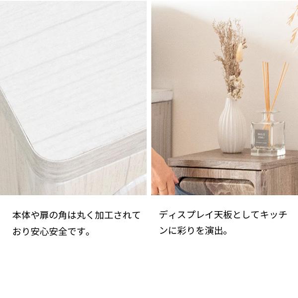 ゴミ箱 DB-800R DSB-800R ダストボックス スリム 大容量 45L 袋が見え