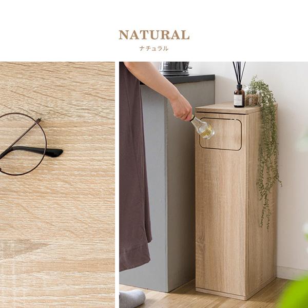 ゴミ箱 DB-800R DSB-800R ダストボックス スリム 大容量 45L 袋が見え