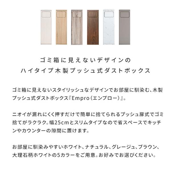 ゴミ箱 DB-800R DSB-800R ダストボックス スリム 大容量 45L 袋が見え