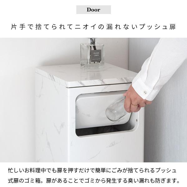 ゴミ箱 DB-800R DSB-800R ダストボックス スリム 大容量 45L 袋が見え