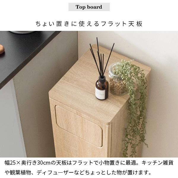 ゴミ箱 DB-800R DSB-800R ダストボックス スリム 大容量 45L 袋が見え