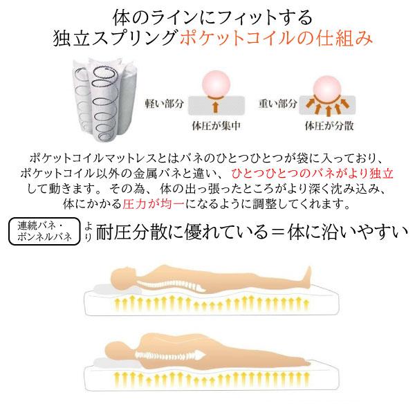 フランスベッド（FRANCEBED） マットレス シングルサイズ DE-P100