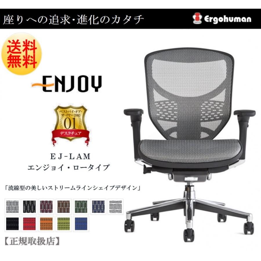 Ergohuman Enjoy エルゴヒューマン エンジョイ EJ-LAM オフィスチェア パソコンチェア ロータイプ メッシュモデル 人気 おしゃれ 正規品 快適 在宅 テレワーク｜comodocasa